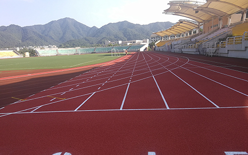 塑膠跑道施工廠家建設(shè)場(chǎng)地